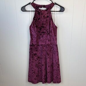 Witchy Velvet Dark Purple Skater Dress